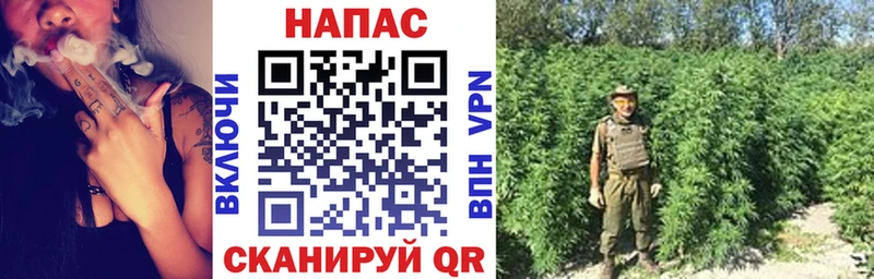 ГАШИШ Железноводск