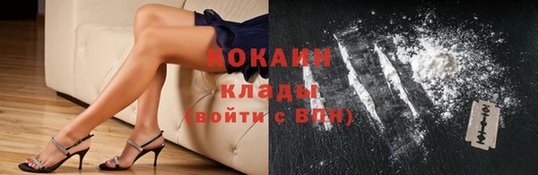 ГАЛЛЮЦИНОГЕННЫЕ ГРИБЫ Гусев