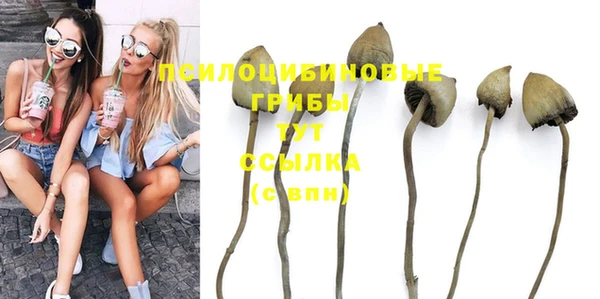 ГАЛЛЮЦИНОГЕННЫЕ ГРИБЫ Гусев