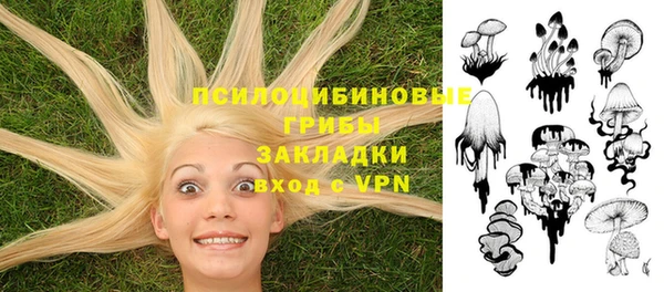 спиды Гусиноозёрск