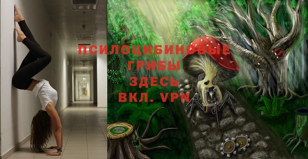 меф Гусь-Хрустальный
