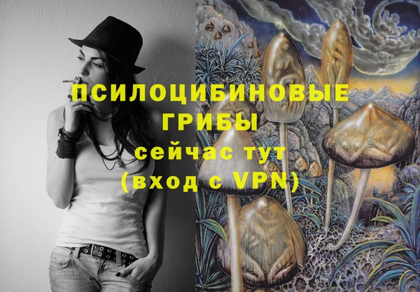 меф Гусь-Хрустальный
