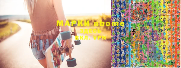 ГАЛЛЮЦИНОГЕННЫЕ ГРИБЫ Гусев