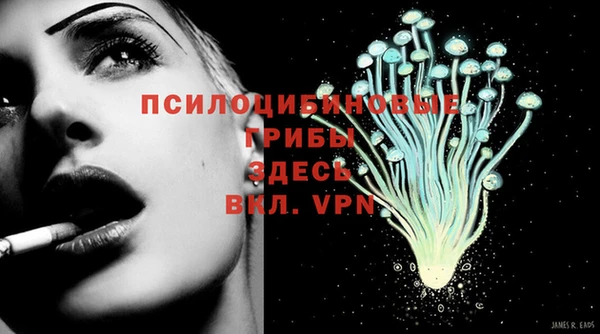 меф Гусь-Хрустальный