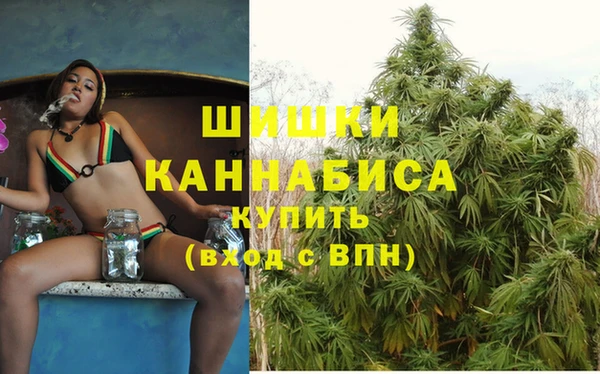 ГАЛЛЮЦИНОГЕННЫЕ ГРИБЫ Гусев