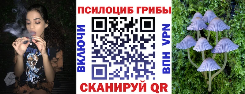 Купить где  Железноводск  Галлюциногенные грибы мухоморы 